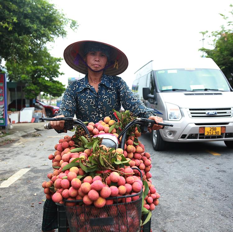 Vải thiều Thanh Hà vừa mất mùa vừa mất giá, nông dân xót xa bán buôn 15 nghìn đồng/kg - Ảnh 3.