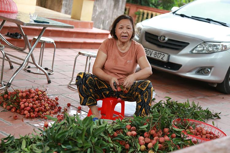 Vải thiều Thanh Hà vừa mất mùa vừa mất giá, nông dân xót xa bán buôn 15 nghìn đồng/kg - Ảnh 10.