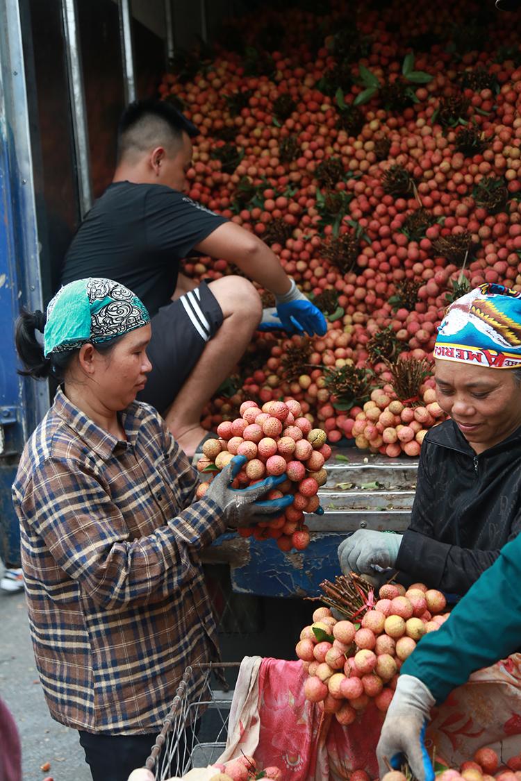 Vải thiều Thanh Hà vừa mất mùa vừa mất giá, nông dân xót xa bán buôn 15 nghìn đồng/kg - Ảnh 7.