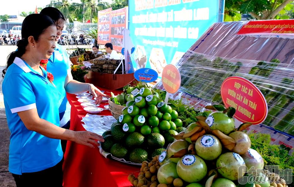 Vú sữa, chanh không hạt sản xuất theo tiêu chuẩn VietGAP của huyện Phong Điền trưng bày tại một sự kiện.