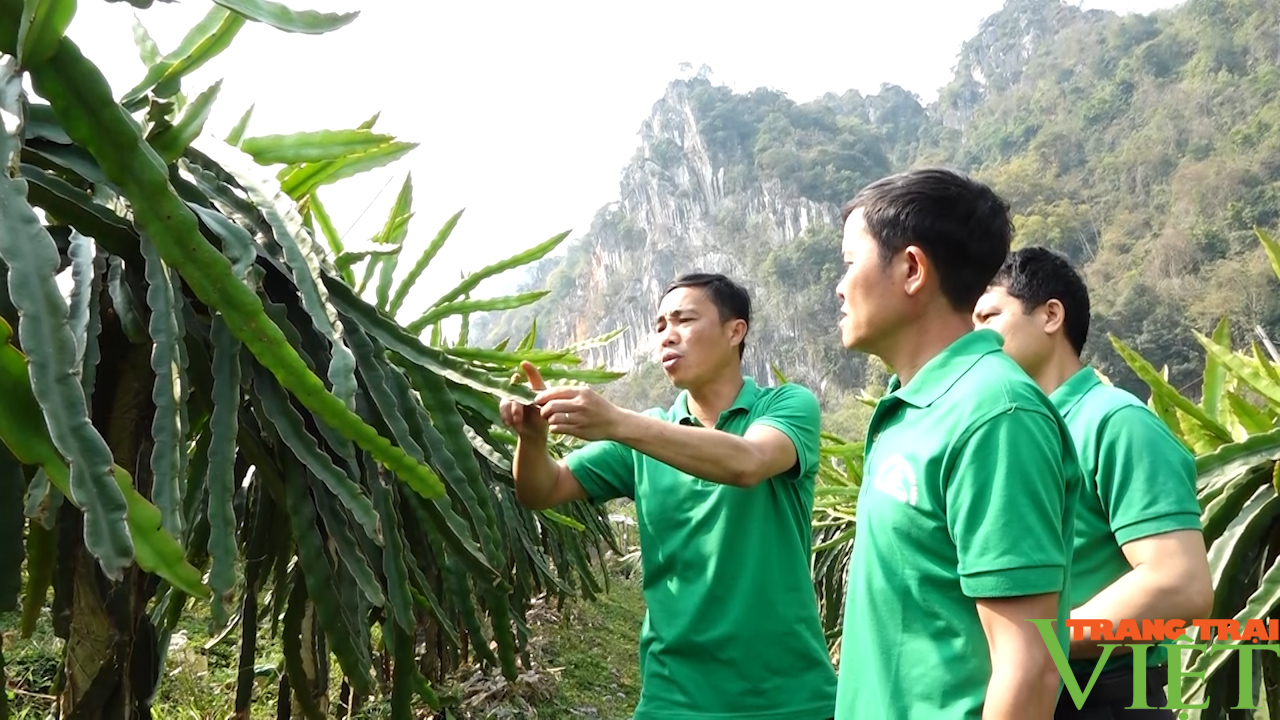 Hội Nông dân TP. Sơn La: Nhìn lại một nhiệm kỳ thắng lợi - Ảnh 2.