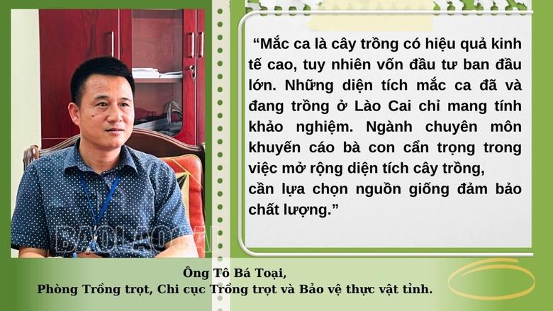 'Nữ hoàng quả khô' trên đất Lào Cai là cây gì mà nông dân kỳ vọng ghê gớm? - Ảnh 6.