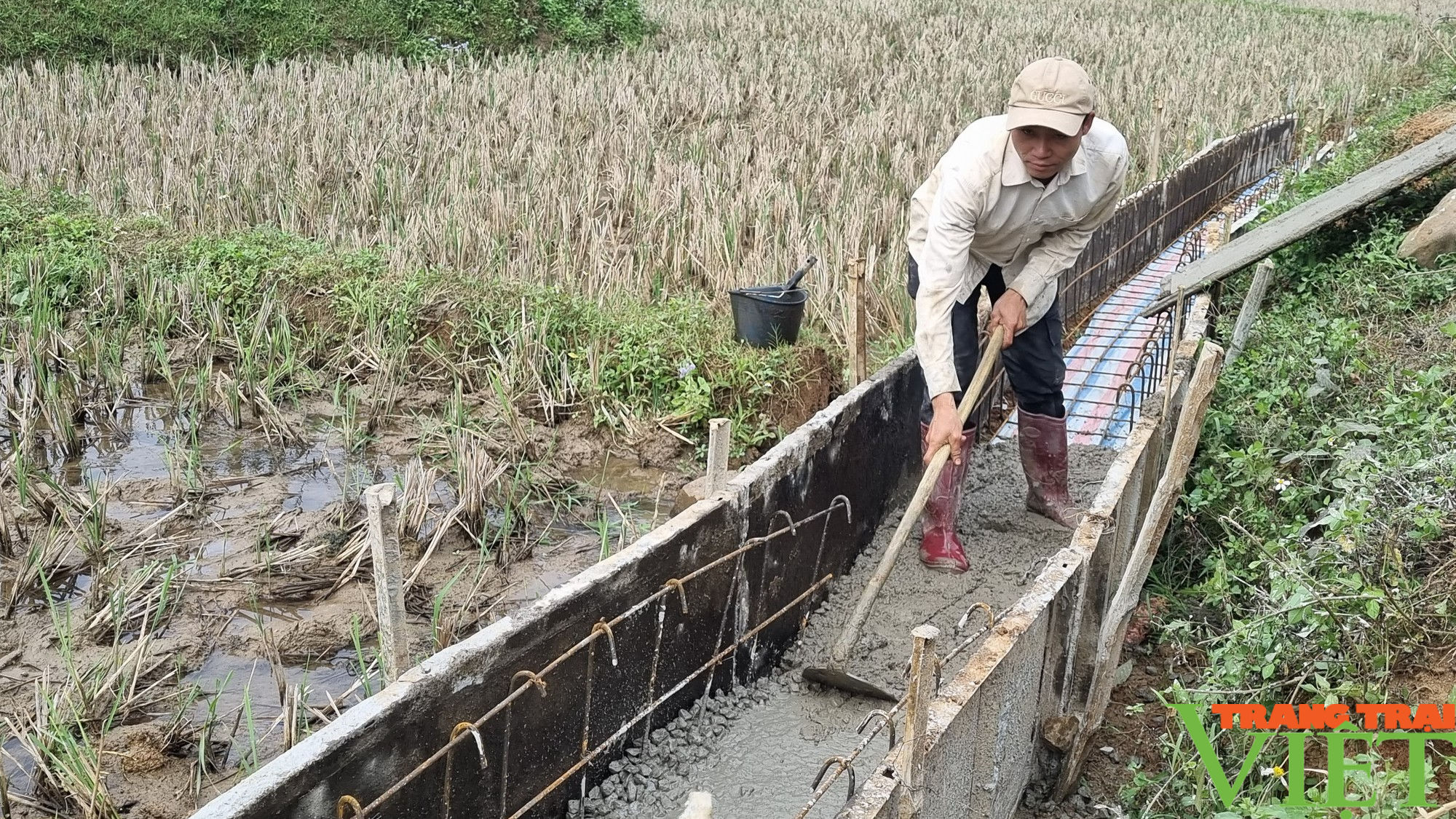 Nông dân Sơn La tích cực thi đua xây dựng nông thôn mới - Ảnh 4.