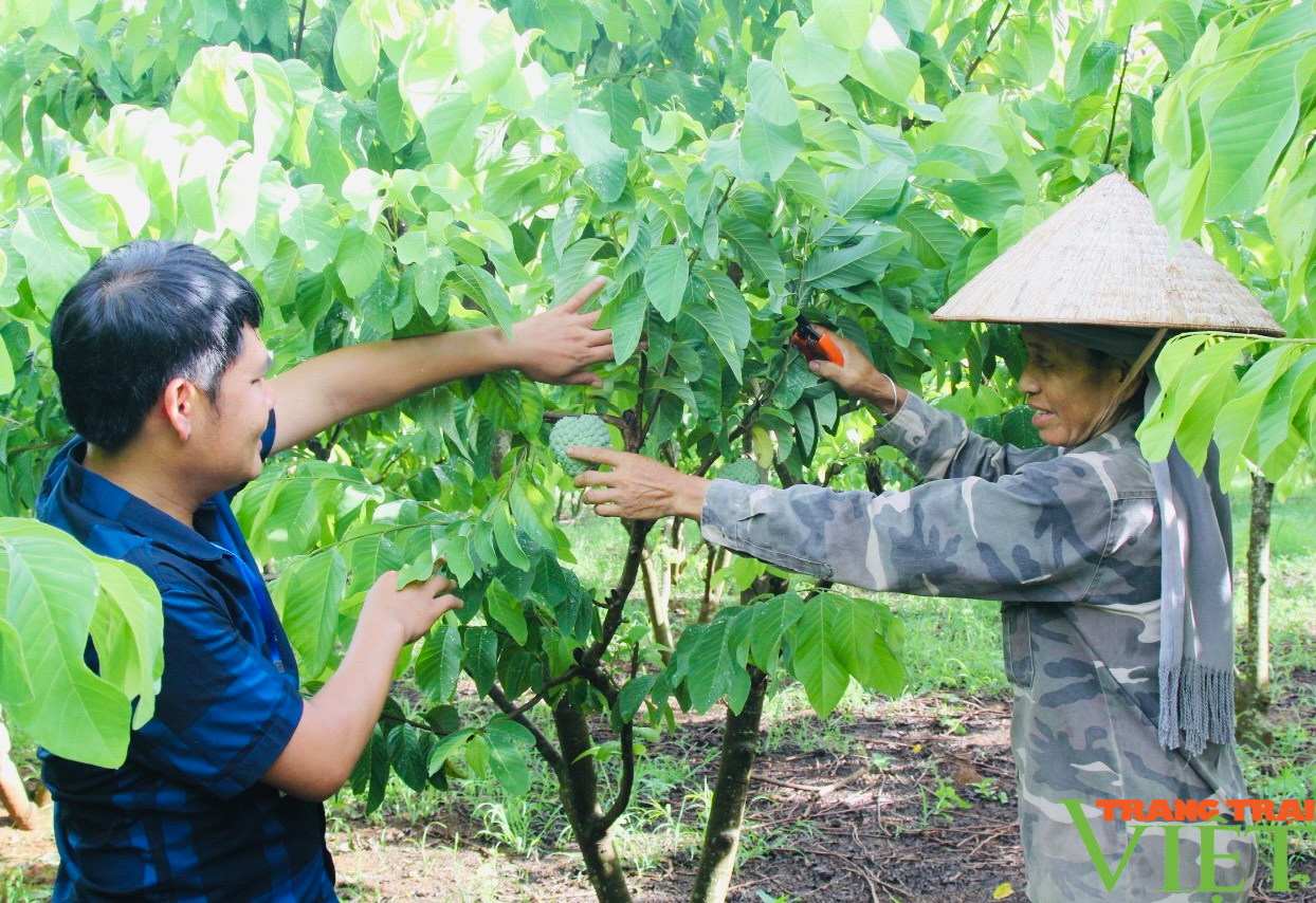 Sơn La nhân rộng mô hình "Nông dân dạy nông dân" - Ảnh 3.