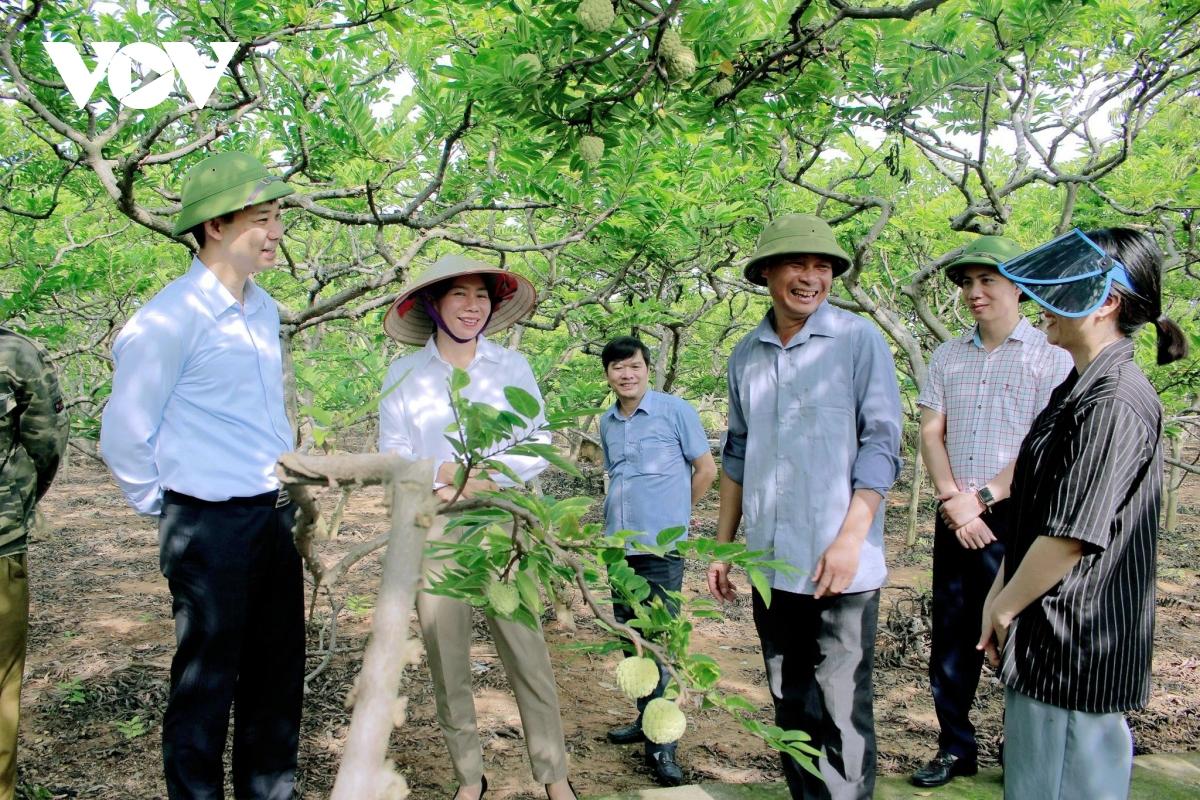 Phương pháp "rải vụ" là thế nào mà giúp na Đông Triều hạn chế việc được mùa mất giá - Ảnh 2.