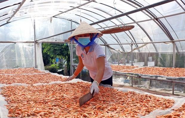 Ca Mau lien ket, toi uu hoa chuoi san xuat thuy san hinh anh 1