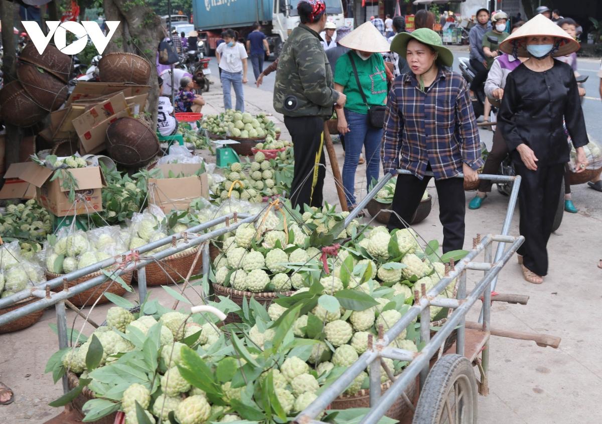 Gần 4.000 hộ dân sống nhờ thứ quả ngọt miền biên viễn này, năm nay dự thu 700 tỷ đồng - Ảnh 4.