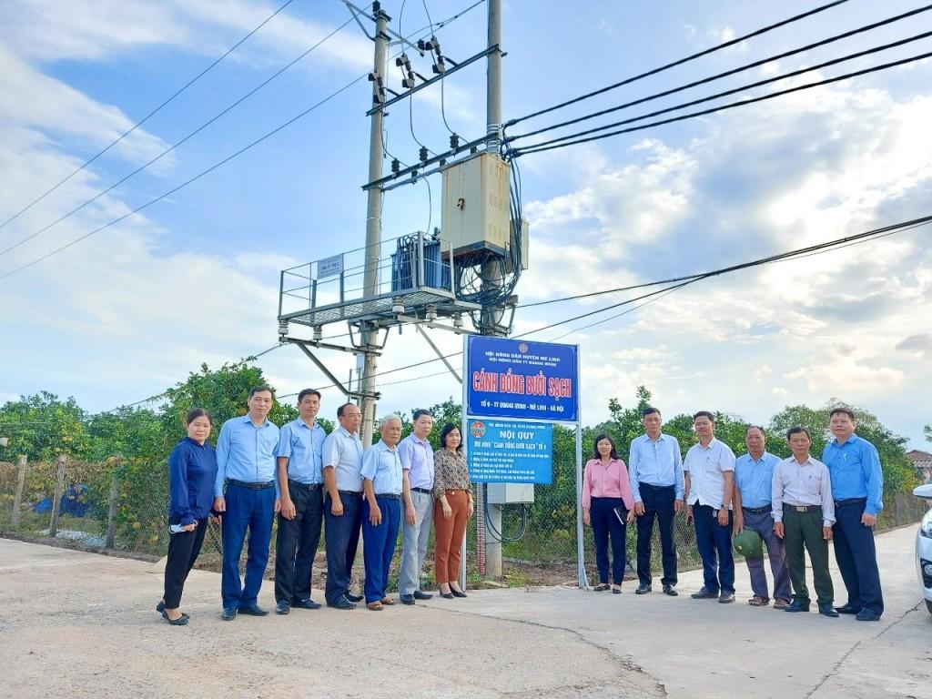 Hiệu quả từ mô hình