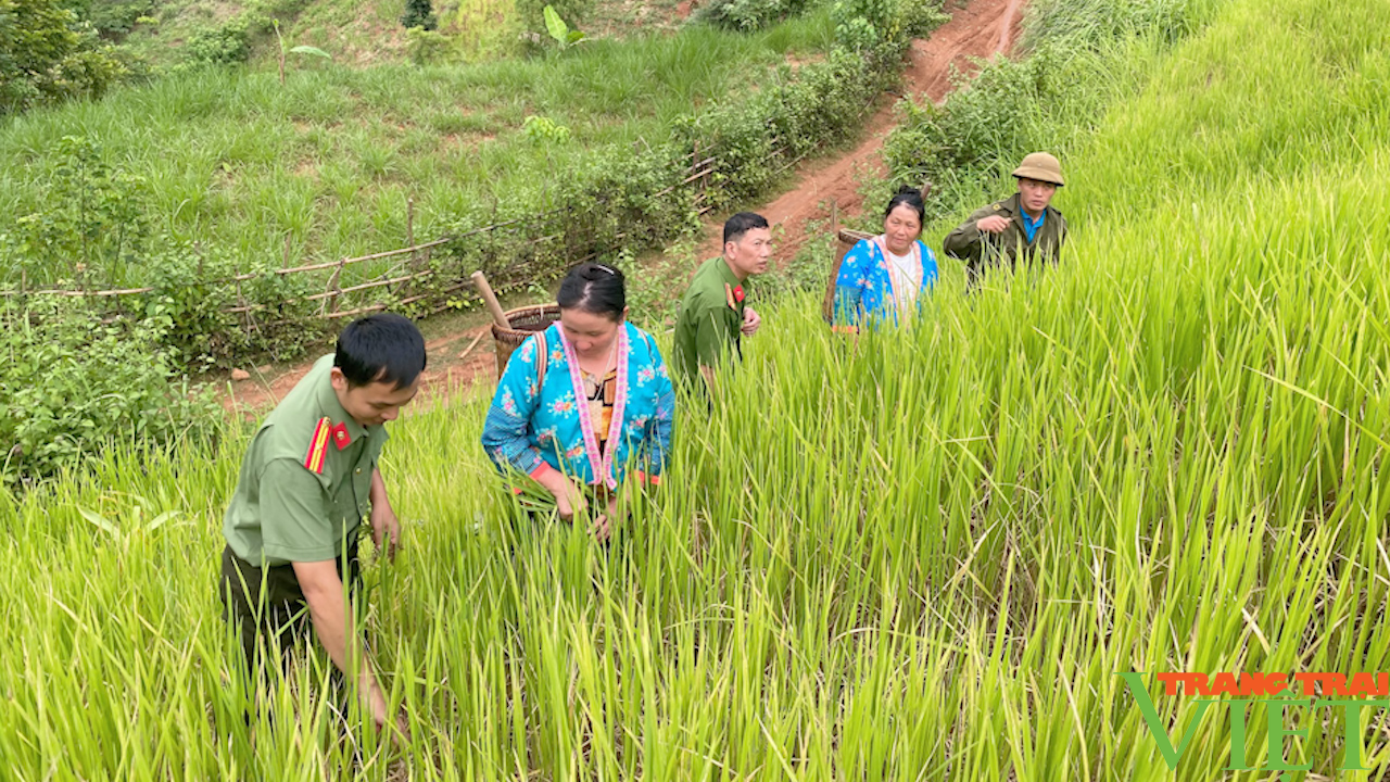 Cùng ăn, cùng ở, cùng làm với đồng bào dân tộc thiểu số vùng cao - Ảnh 3.