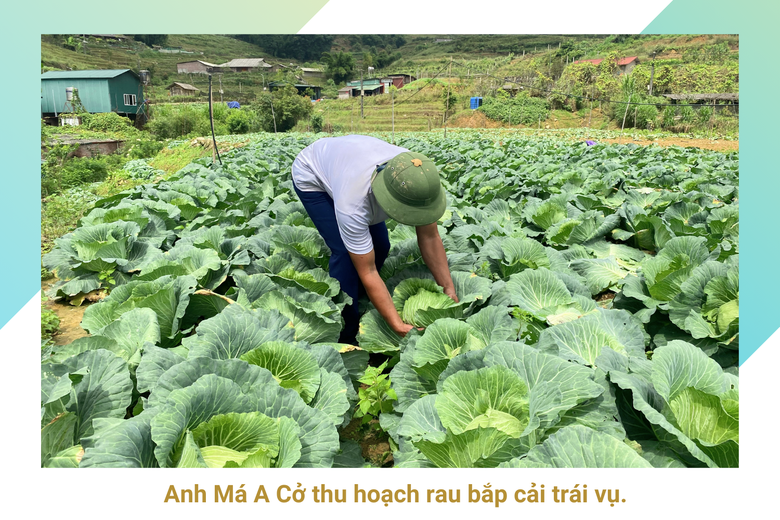 Trồng rau trái vụ ở Sa Pa, nông dân ung dung bán bao nhiêu cũng hết, tiền thu đầy túi - Ảnh 2.