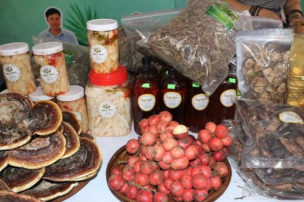 Phien cho ket noi san pham cua dong bao dan toc mien nui toi nguoi tieu dung Quang Ngai hinh anh 1