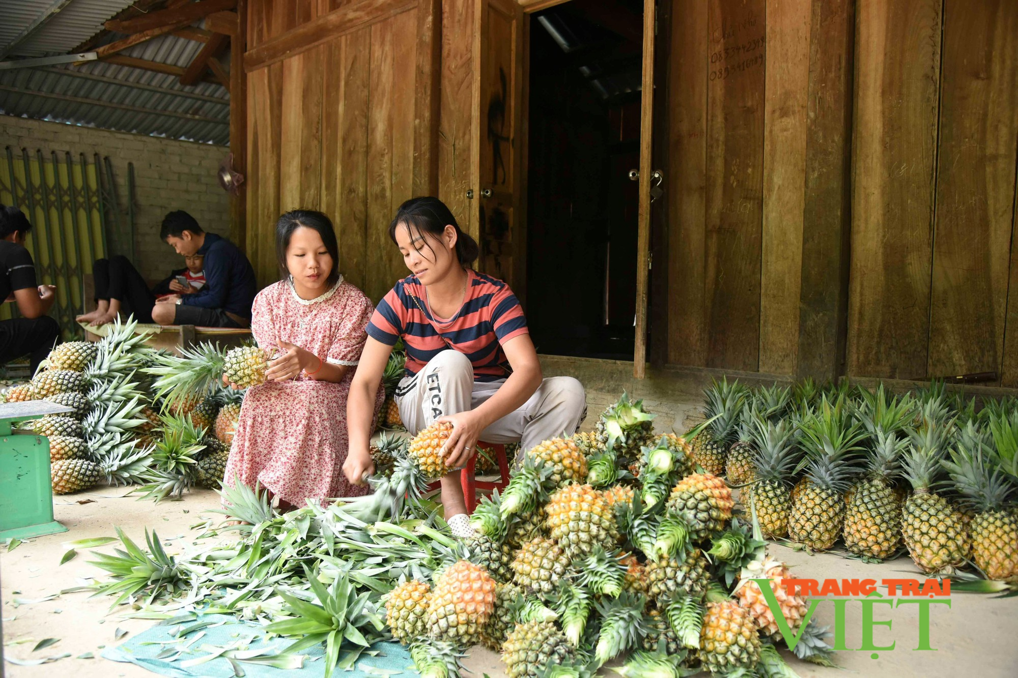 Mường Chà: Cầm tay chỉ việc, hướng dẫn nông dân phát triển kinh tế, cách làm hay để giảm nghèo - Ảnh 2.