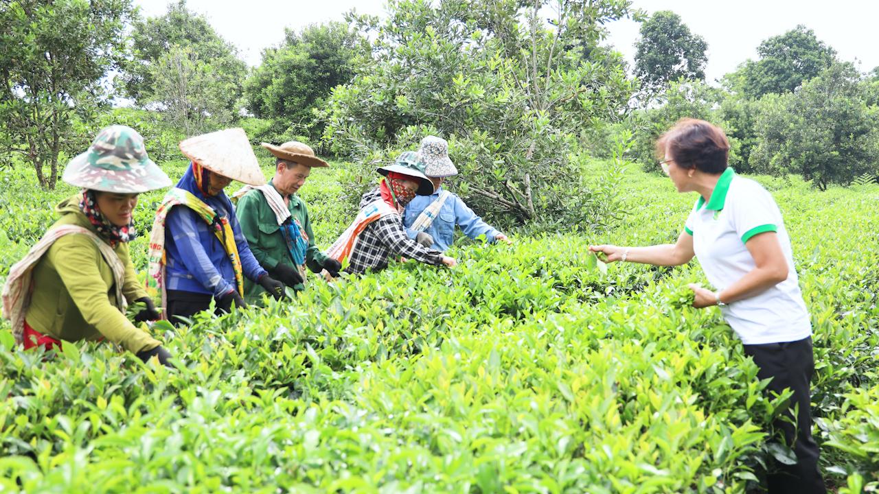 Phát triển các mô hình kinh tế phù hợp, đem lại thu nhập cho hội viên nông dân - Ảnh 3.