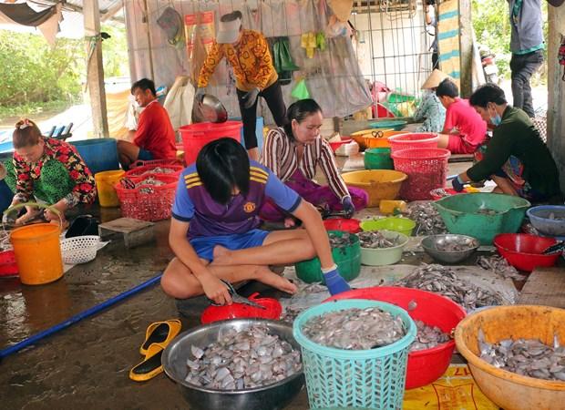 Tang thu nhap tu mo hinh sinh ke mua nuoc noi o Soc Trang hinh anh 3