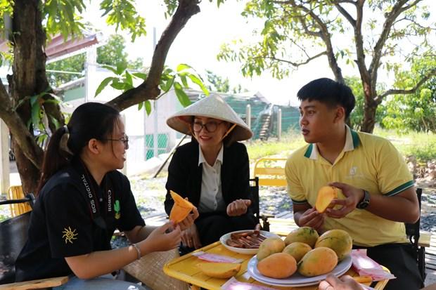 Trong thu nghiem thanh cong giong xoai Keitt co xuat xu tu Hoa Ky hinh anh 2