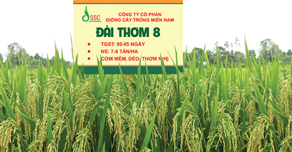 Phạt, truy thu hơn 1,7 tỷ đồng tiền thuế từ Công ty Giống cây trồng Miền Nam