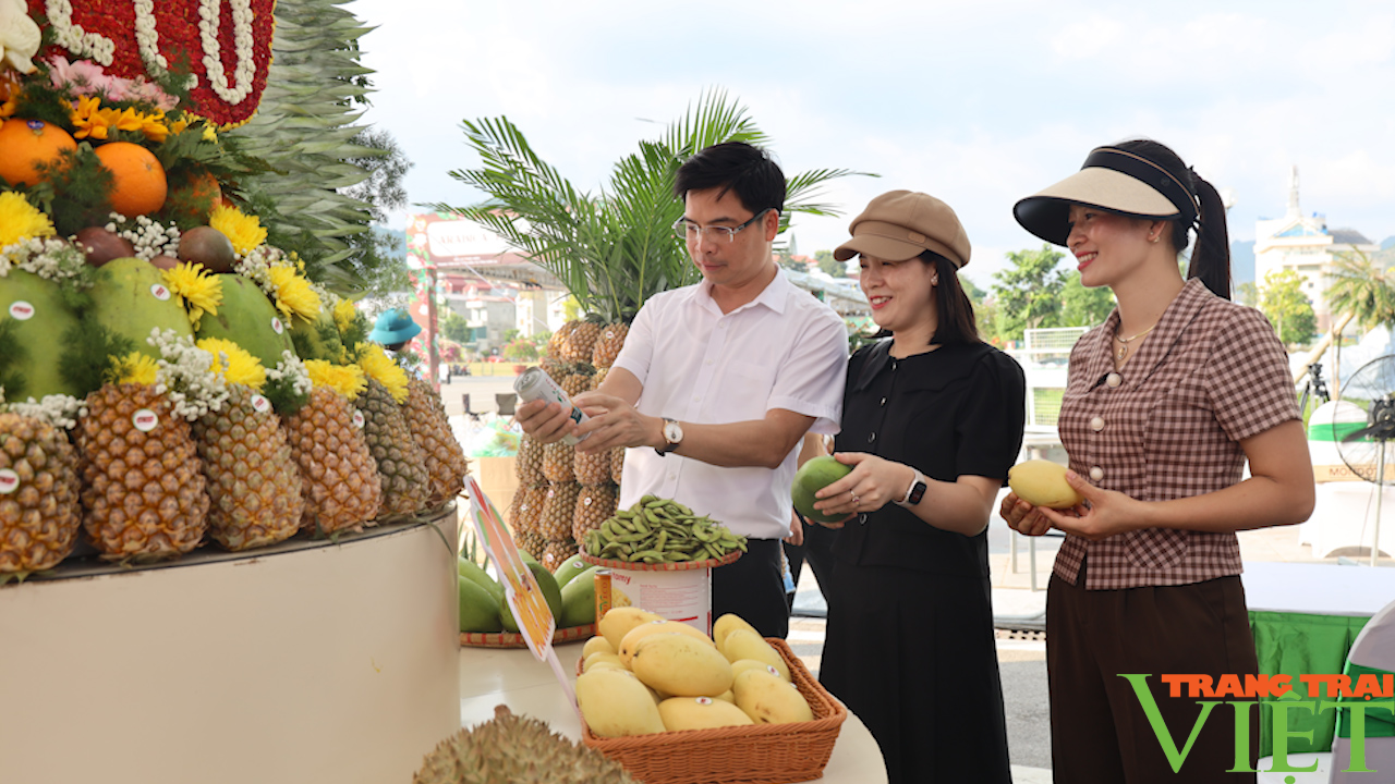 Hội chợ "Cà phê Sơn La - Hội nhập và phát triển" - Ảnh 10.