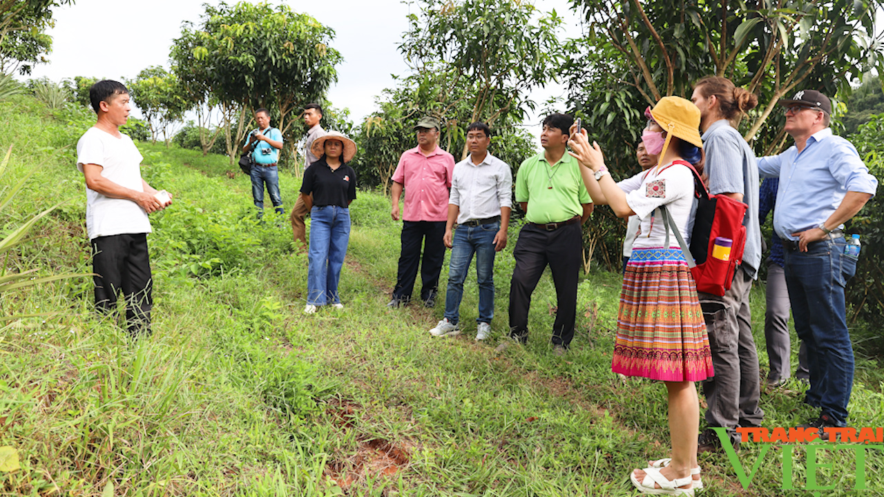 Nông dân Sơn La vững tin bước vào giai đoạn mới - Ảnh 2.