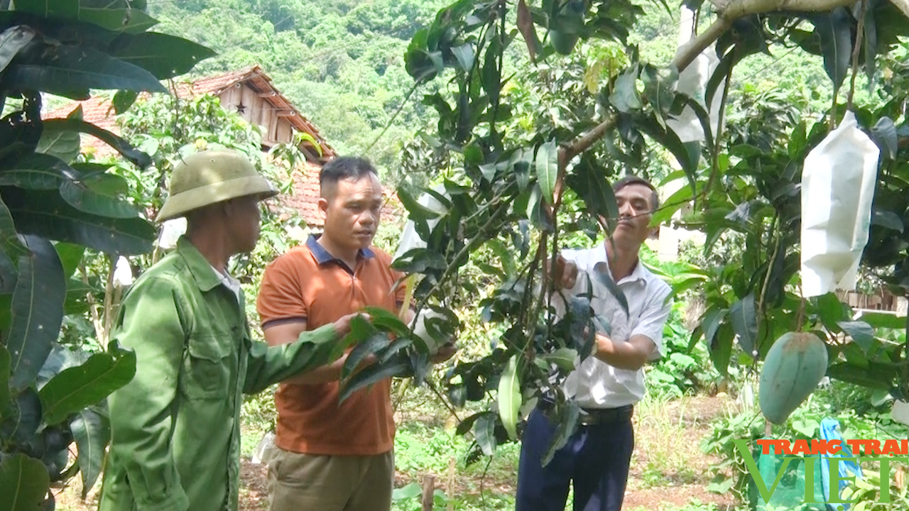 Nông dân Sơn La vững tin bước vào giai đoạn mới - Ảnh 4.