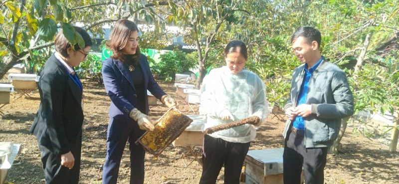 Bảo Thắng: Chuyển đổi số chắp cánh  đưa nông sản vươn xa