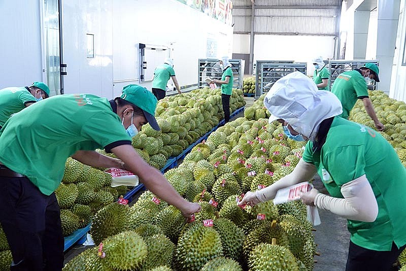 Nông sản- Mặt hàng xuất khẩu chủ lực của Việt Nam sang thị trường Trung Quốc