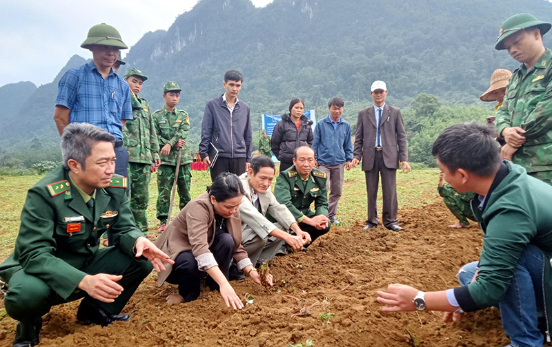 Cán bộ, chiến sĩ Đồn Biên phòng Cà Xèng và bà con xã Thượng Hóa được chuyên gia hướng dẫn cách chăm sóc cây gai xanh.