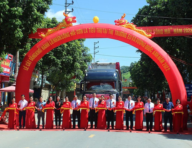 Hội Nông dân Sơn La đồng hành cùng nông dân trong kết nối, tiêu thụ nông sản - Ảnh 1.