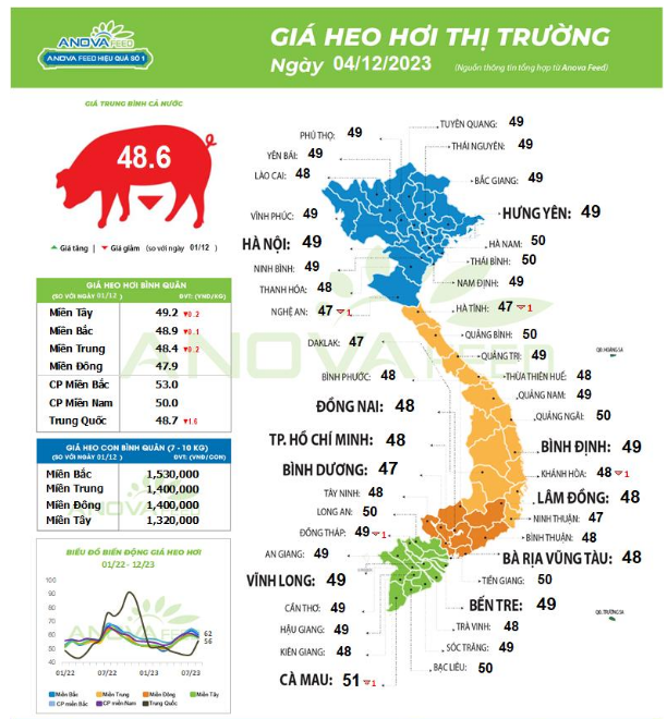 Giá lợn hơi chạm đáy thấp nhất năm, chưa có dấu hiệu đảo chiều - Ảnh 1.