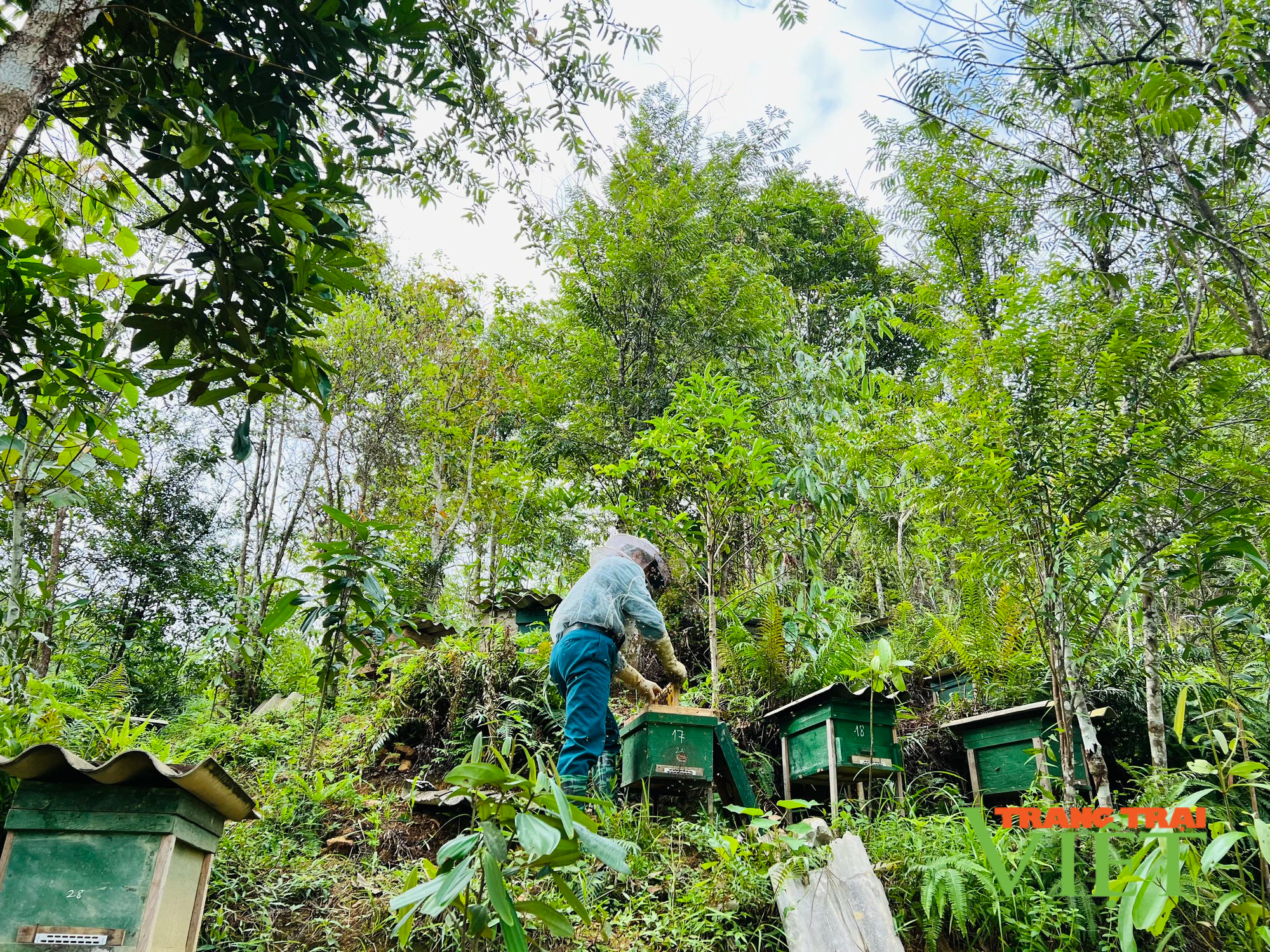 Lai Châu: Sản phẩm OCOP 3 sao mật ong Thanh Xuân thơm ngon nức tiếng - Ảnh 2.