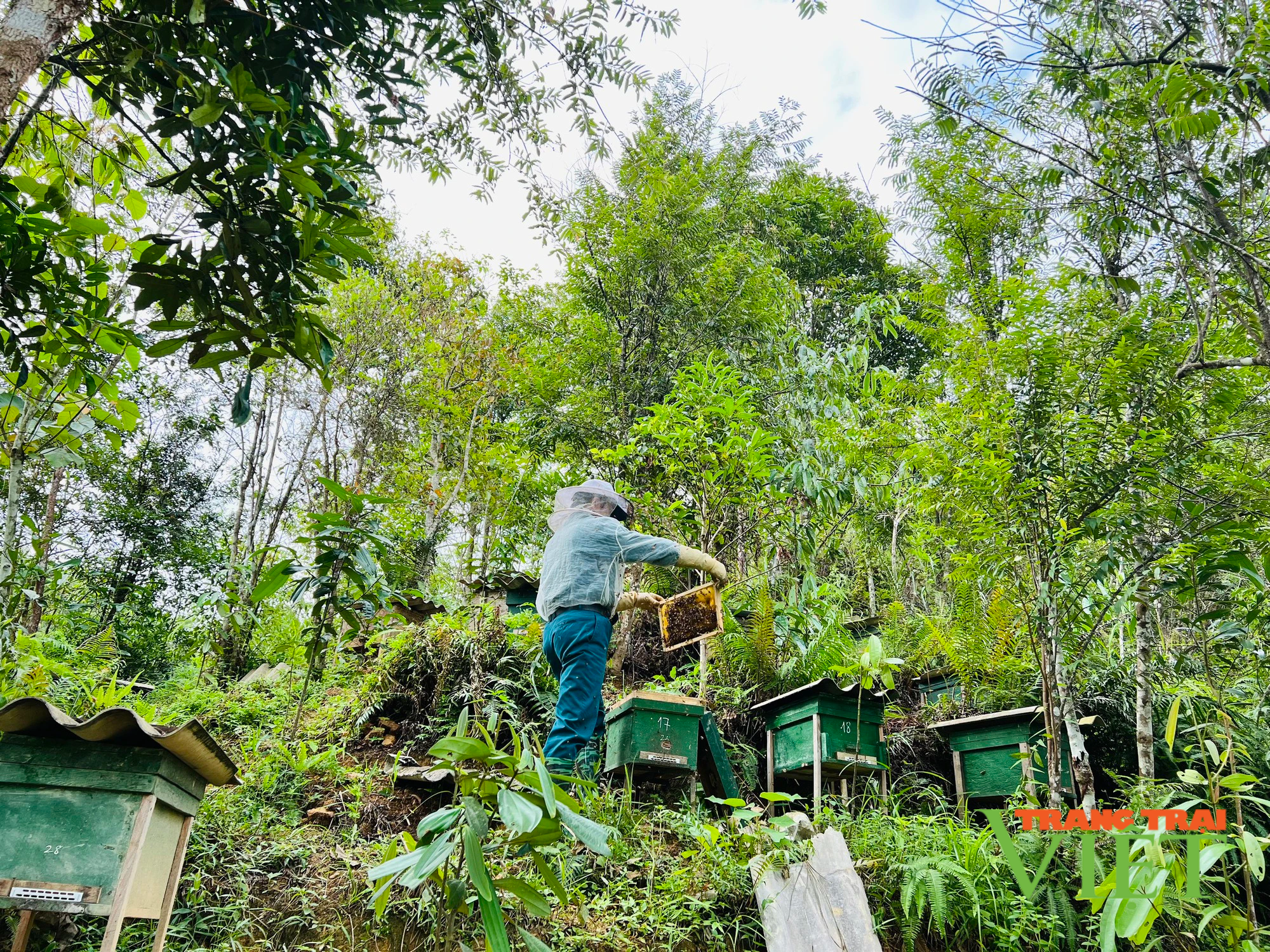 Lai Châu: Sản phẩm OCOP 3 sao mật ong Thanh Xuân thơm ngon nức tiếng - Ảnh 1.