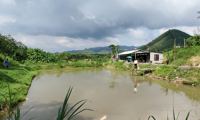 Một góc trang trại chăn nuôi hươu của anh Lê Trường Sinh.