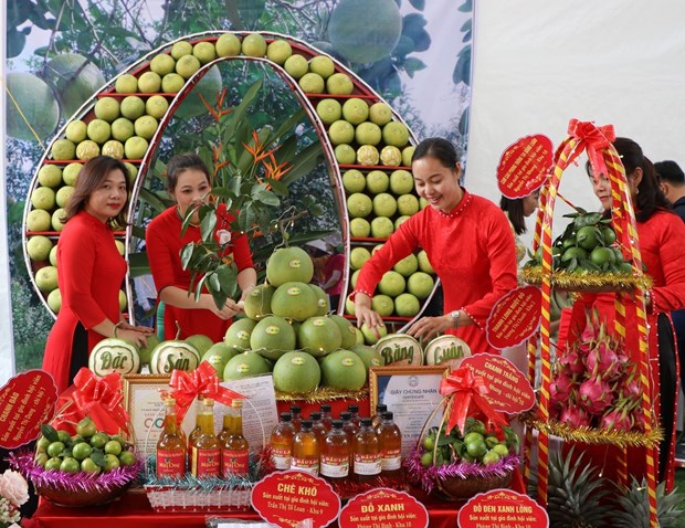 Tim duong xuat ngoai cho buoi dac san Doan Hung hinh anh 1