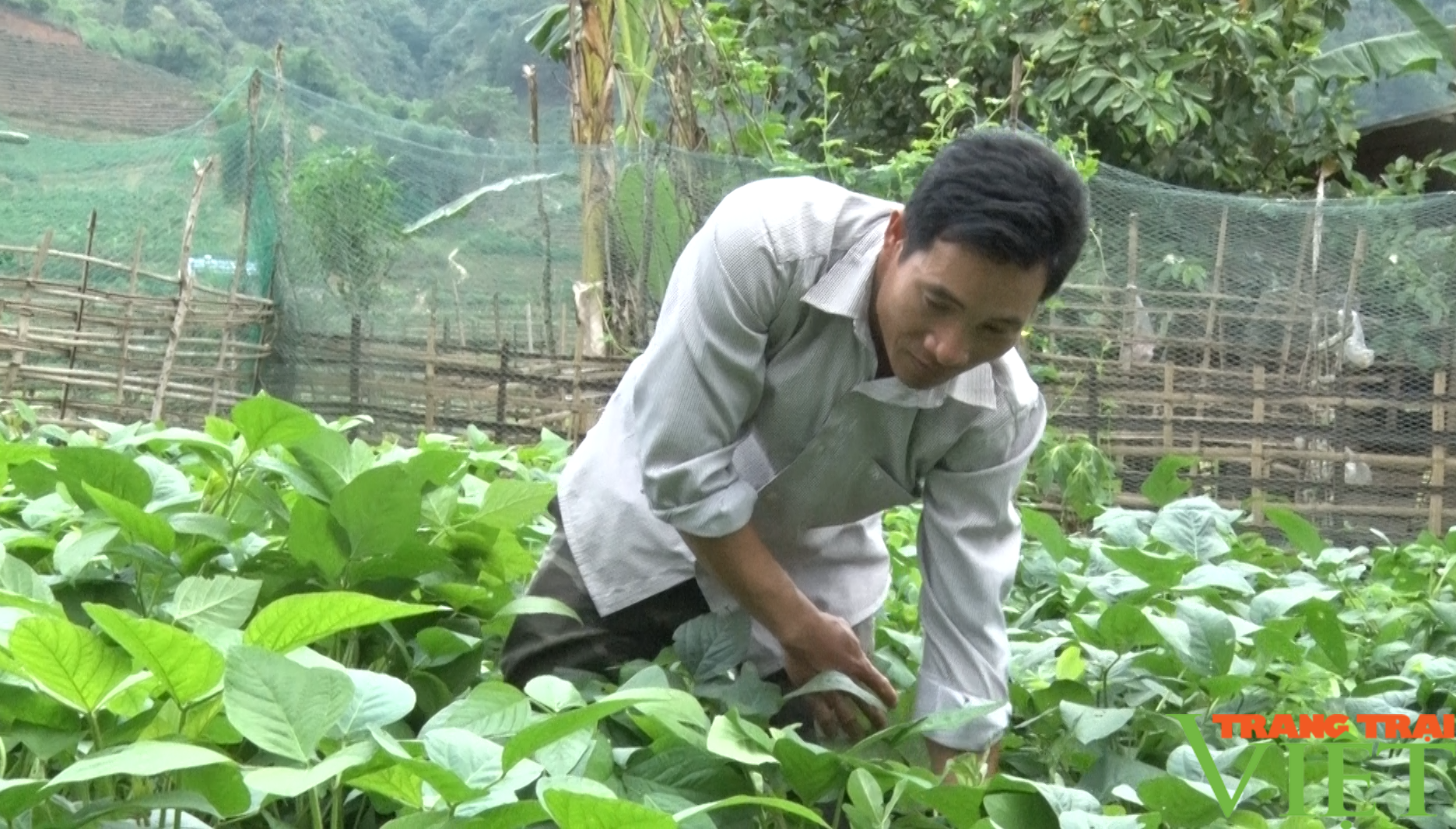 Nông thôn mới ở một xã của Lai Châu, đời sống người dân được nâng cao, bản làng sạch đẹp - Ảnh 5.