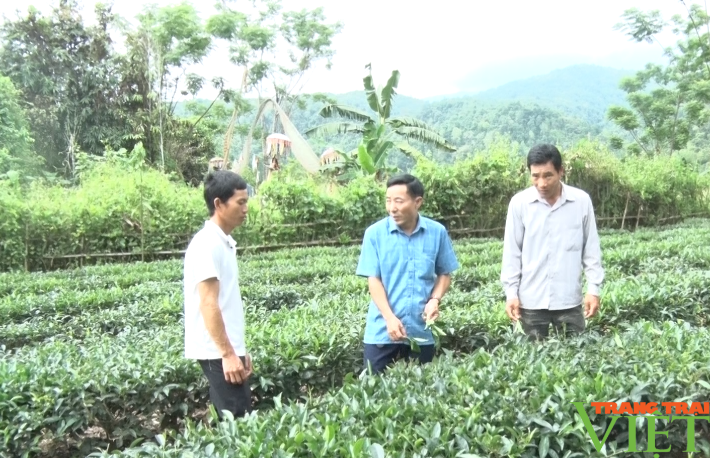 Nông thôn mới ở một xã của Lai Châu, đời sống người dân được nâng cao, bản làng sạch đẹp - Ảnh 2.