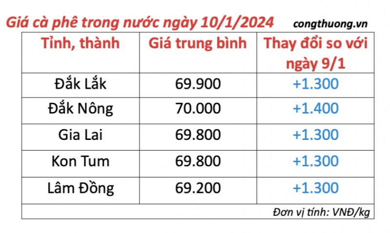 Giá cà phê hôm nay, ngày 10/1/2024: Giá cà phê trong nước