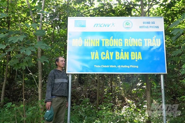 Sinh ke moi tang thu nhap cho nguoi dan mien nui Quang Tri hinh anh 2