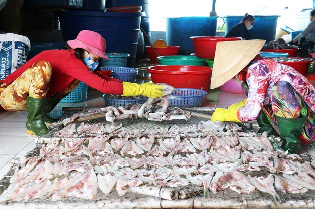 Lang nghe ca kho Vam Lang nhon nhip san xuat vu Tet hinh anh 1