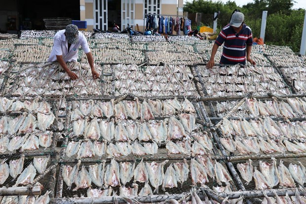 Lang nghe ca kho Vam Lang nhon nhip san xuat vu Tet hinh anh 4