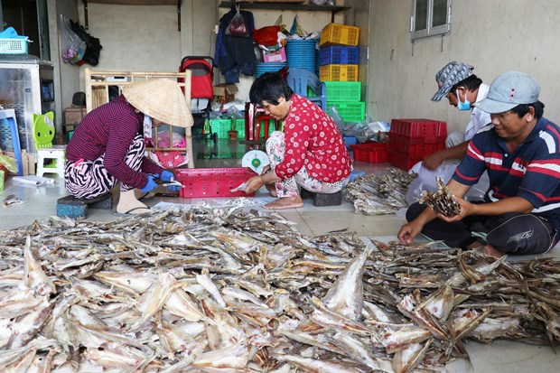 Lang nghe ca kho Vam Lang nhon nhip san xuat vu Tet hinh anh 3