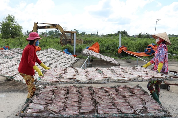 Lang nghe ca kho Vam Lang nhon nhip san xuat vu Tet hinh anh 2