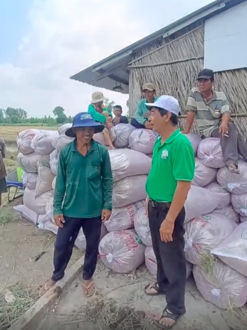 Một doanh nghiệp thu mua lúa gạo sạch giá cao hơn thị trường