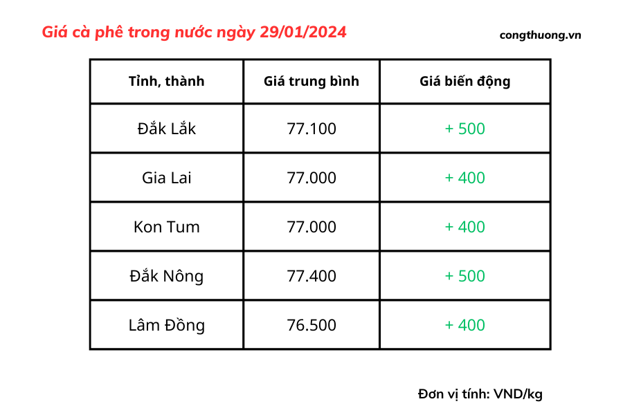 Giá cà phê hôm nay, ngày 29/1/2024: Giá cà phê trong nước