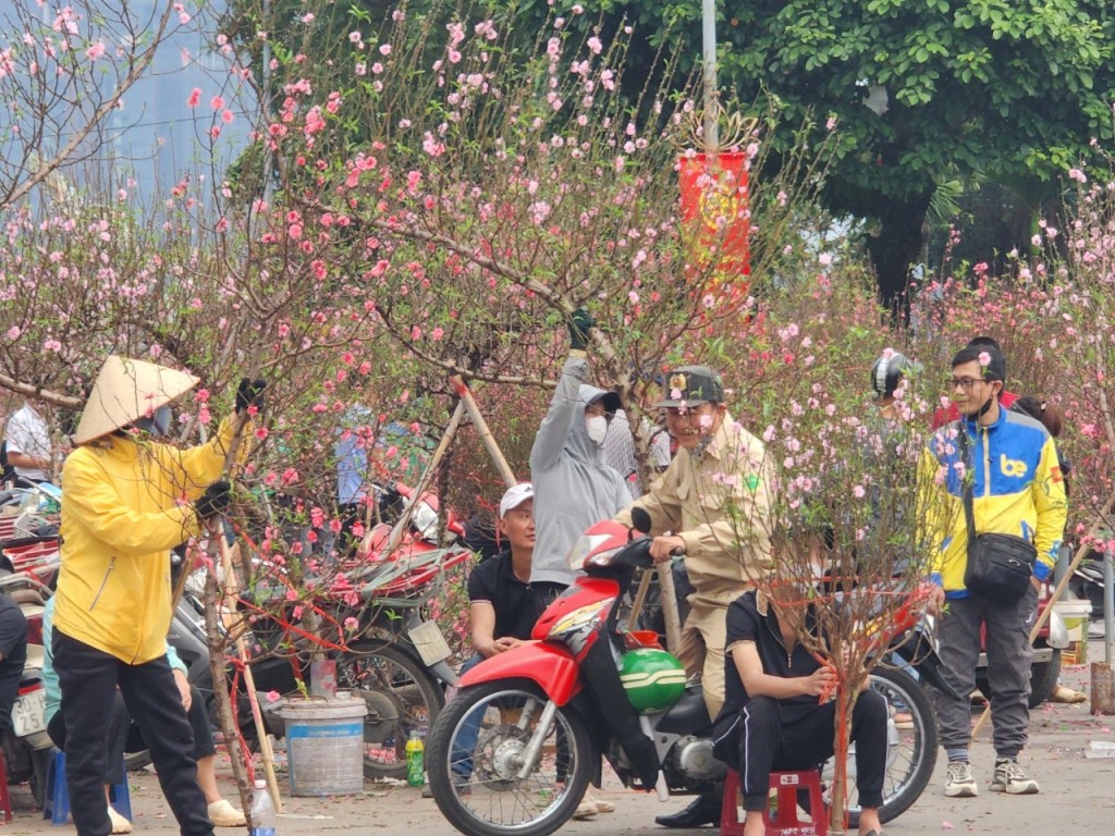 Hoa đào bung nở, tiểu thương thấp thỏm chờ khách