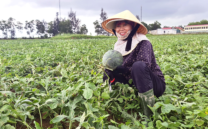 Năm 2023, năng suất các loại cây trồng trên địa bàn huyện đạt và vượt so với kế hoạch.