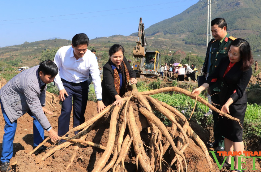 Bí thư Tỉnh ủy Lai Châu Giàng Páo Mỷ kiểm tra hoạt động lao động sản xuất đầu xuân- Ảnh 4.