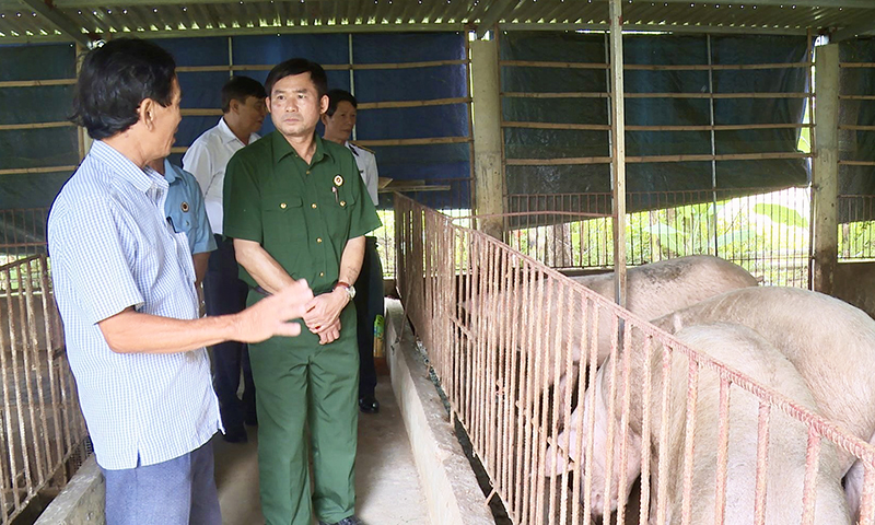 Phong trào “CCB giúp nhau giảm nghèo, làm kinh tế giỏi” ở TX. Ba Đồn ngày càng có sức lan tỏa, giúp hội viên vươn lên, ổn định cuộc sống.