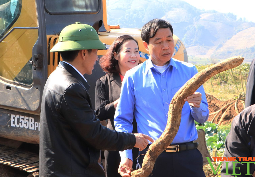 Bí thư Tỉnh ủy Lai Châu Giàng Páo Mỷ kiểm tra hoạt động lao động sản xuất đầu xuân- Ảnh 5.