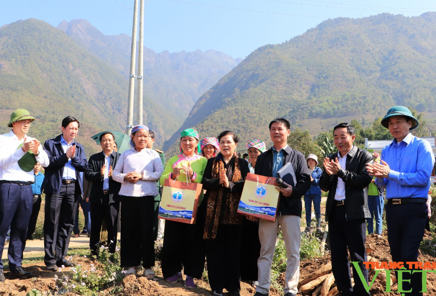 Bí thư Tỉnh ủy Lai Châu Giàng Páo Mỷ kiểm tra hoạt động lao động sản xuất đầu xuân- Ảnh 6.