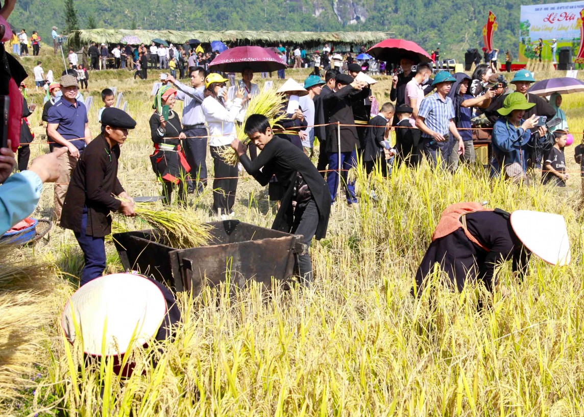 Ha Giang