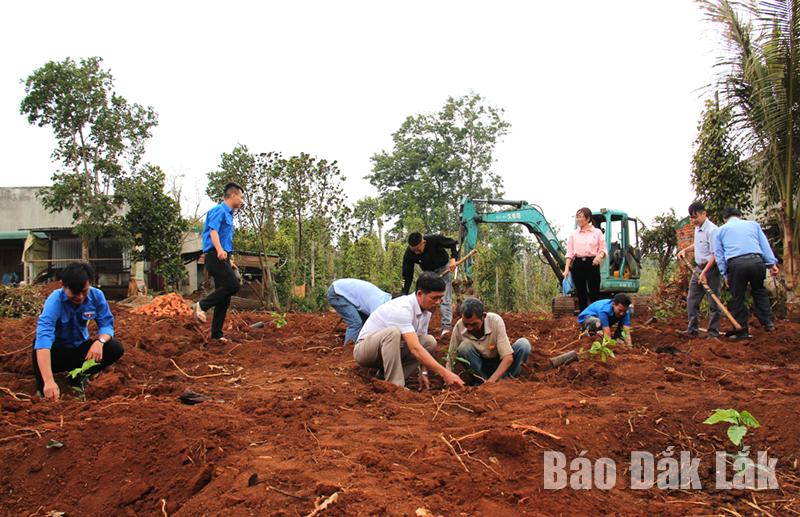 Các đại biểu dự lễ ra quân tham gia xuống giống cà phê trên diện tích đất đã cải tạo của gia đình ông Trần Văn Thôi.